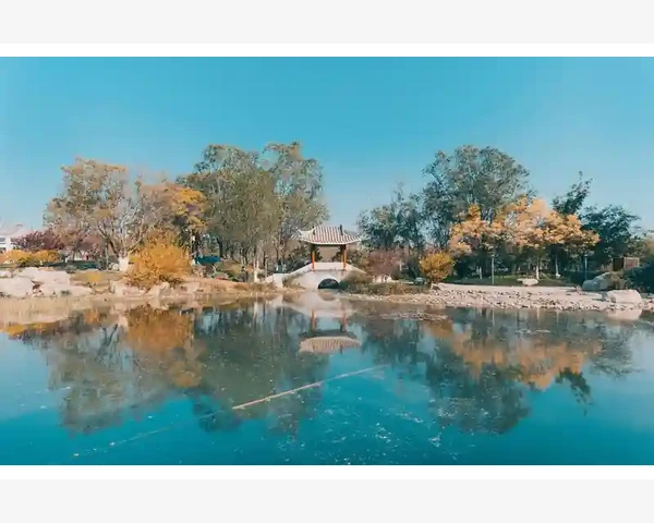 葛根芩连汤的方剂特点及其中医功效